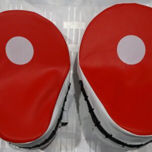 Boxing focus pads
