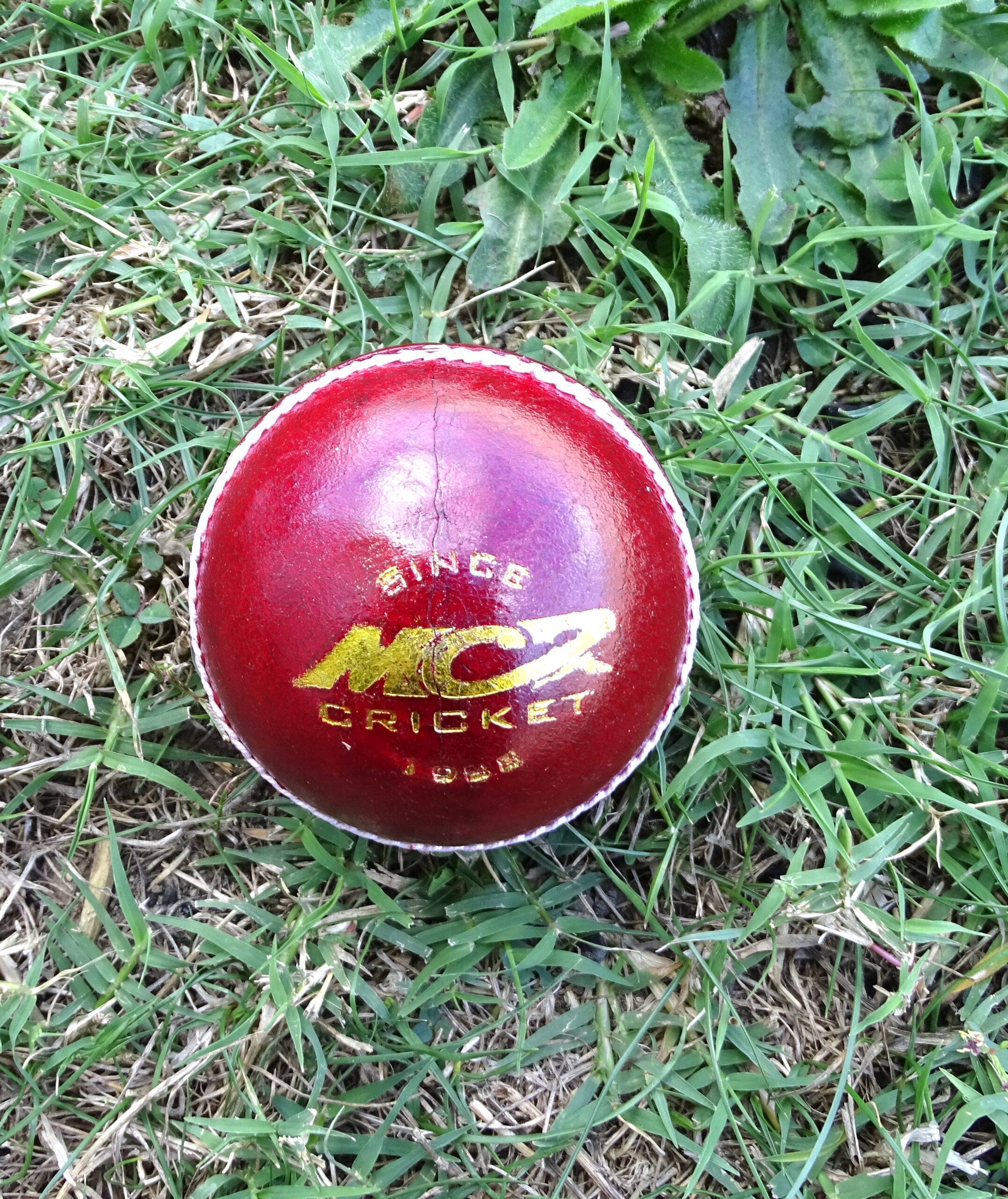 MC2 Leather Ball - Image 9