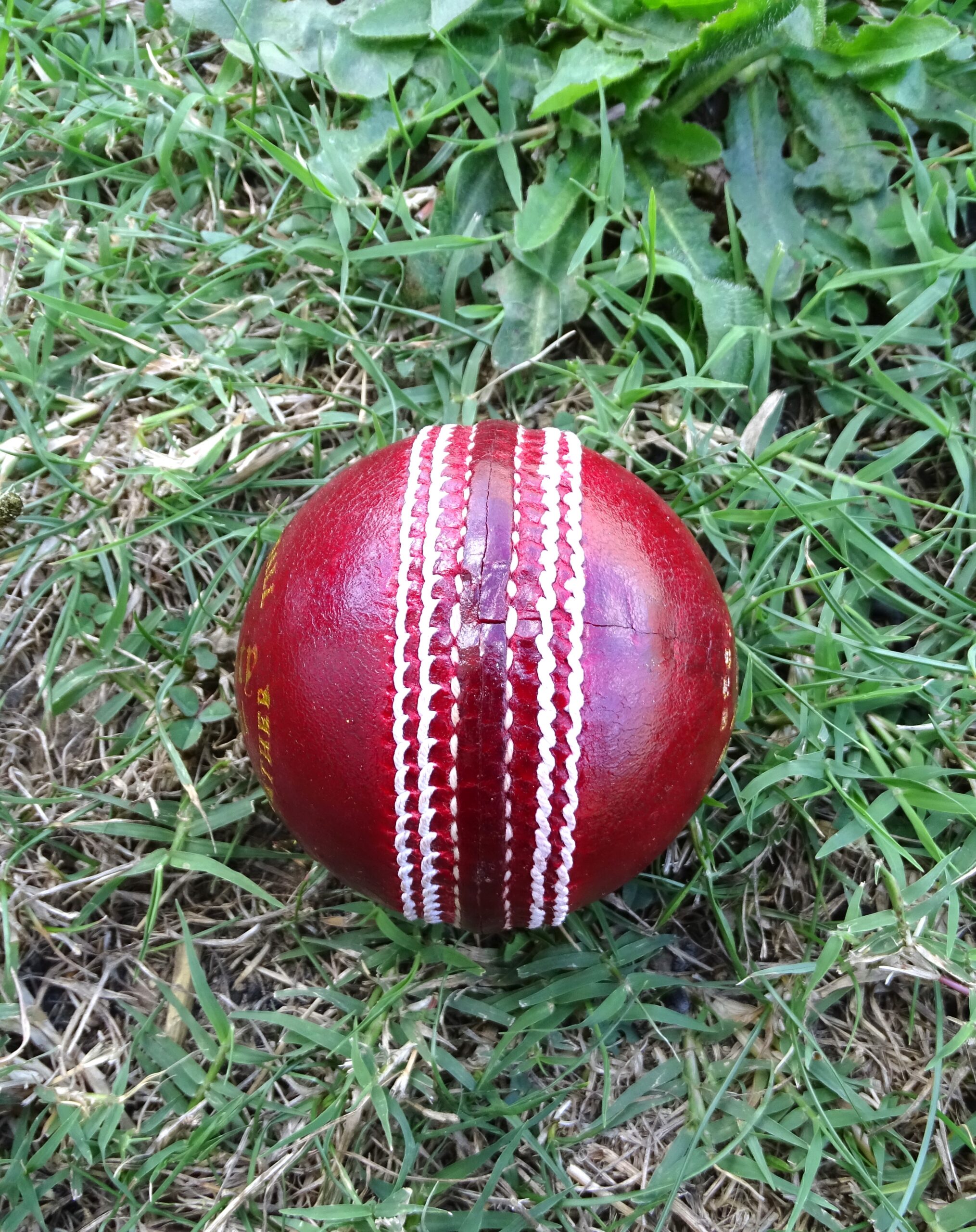 MC2 Leather Ball - Image 10